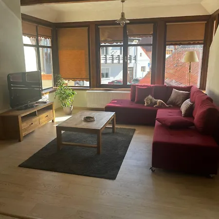 Apartmán Cozy Brašov