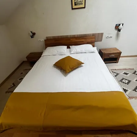 Apartment Cozy Brasov