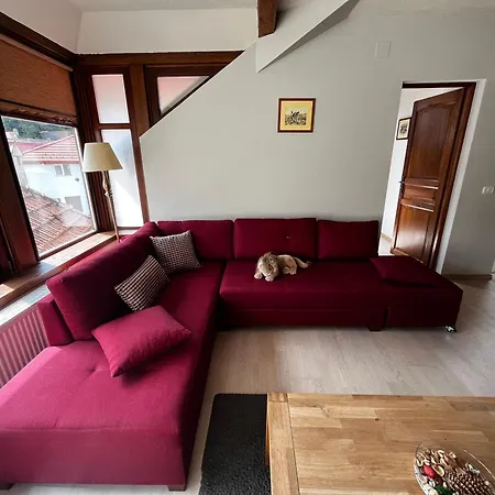 Apartment Cozy Brasov