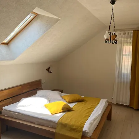 Apartmán Cozy Brašov