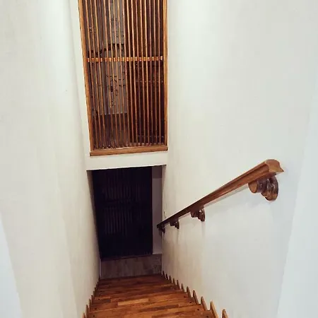 Cozy * براشوف