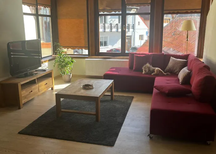 公寓 Cozy 布拉索夫