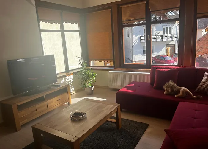 公寓 Cozy 布拉索夫