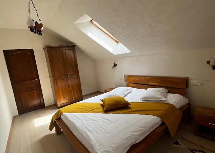 公寓 Cozy 布拉索夫